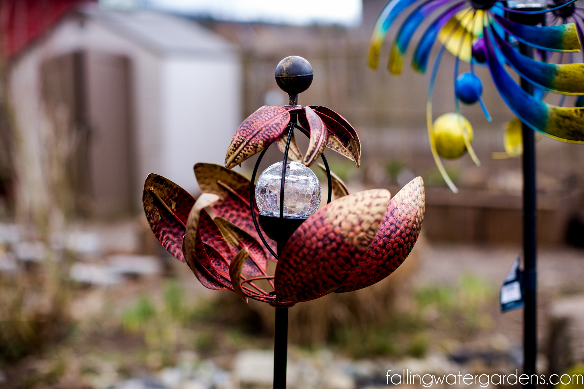 Falling_Water_Gardens_Monroe_Washington_Plant_Nursery