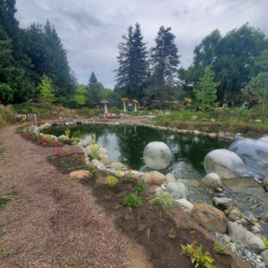 dream koi pond