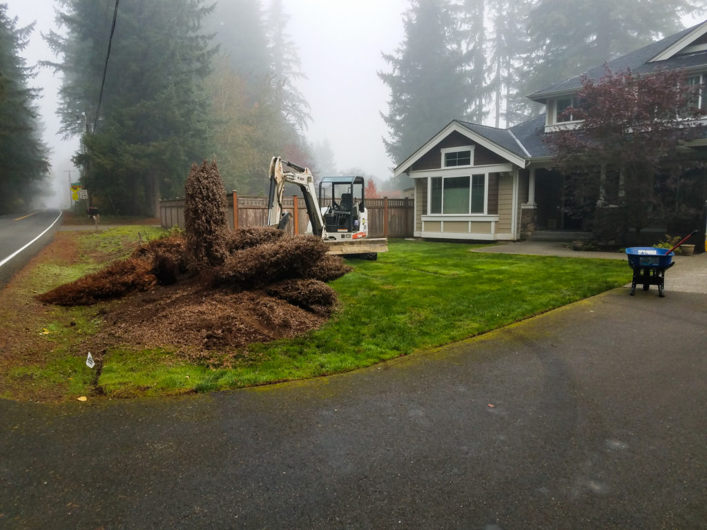 Landscape Design Front Yard in Woodinville, WA. 