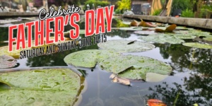 Father's Day Deals