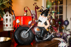 Biker Gnome