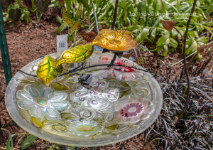 bird-bath-fountain