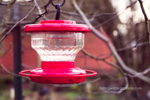 hummingbird feeder